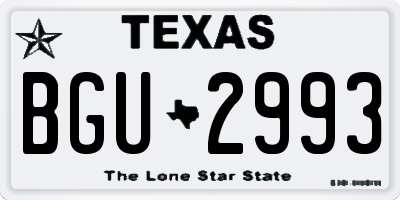 TX license plate BGU2993