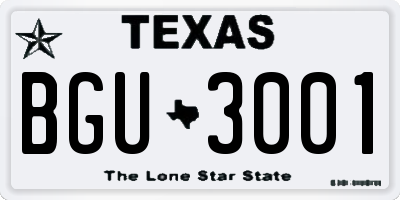 TX license plate BGU3001
