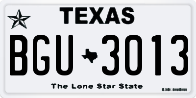 TX license plate BGU3013