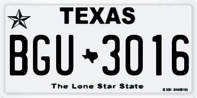 TX license plate BGU3016