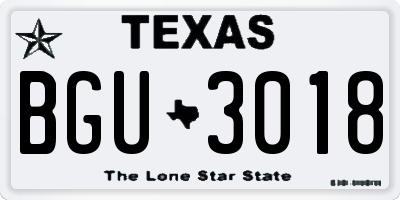 TX license plate BGU3018