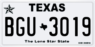 TX license plate BGU3019