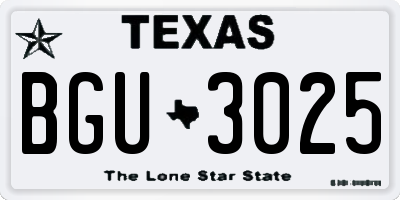 TX license plate BGU3025