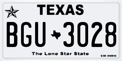 TX license plate BGU3028