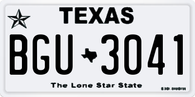 TX license plate BGU3041