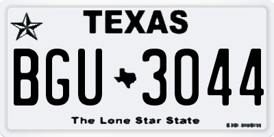 TX license plate BGU3044