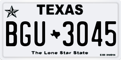 TX license plate BGU3045