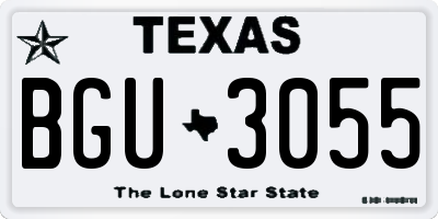 TX license plate BGU3055