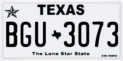 TX license plate BGU3073