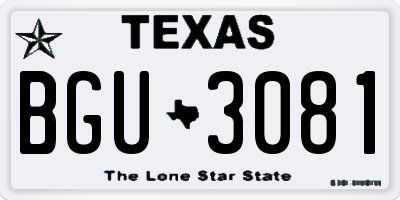 TX license plate BGU3081