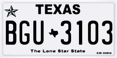TX license plate BGU3103
