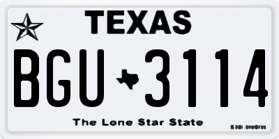 TX license plate BGU3114