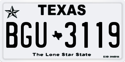 TX license plate BGU3119