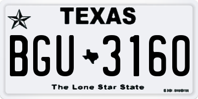 TX license plate BGU3160