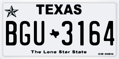 TX license plate BGU3164