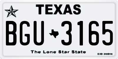 TX license plate BGU3165