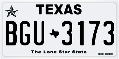 TX license plate BGU3173