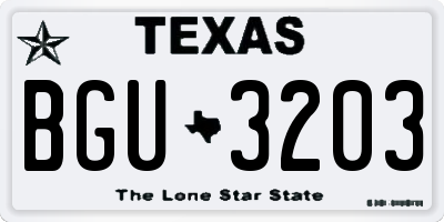 TX license plate BGU3203