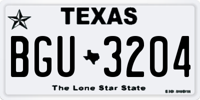 TX license plate BGU3204