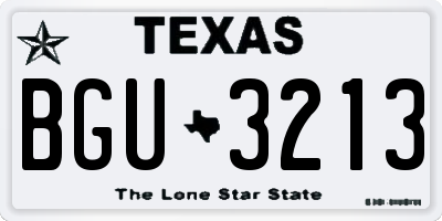 TX license plate BGU3213
