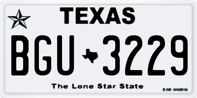 TX license plate BGU3229