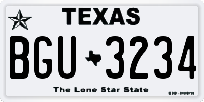TX license plate BGU3234