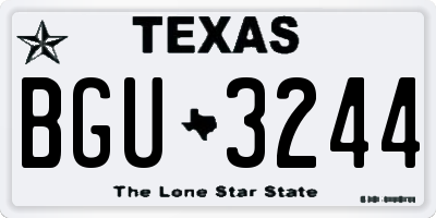 TX license plate BGU3244