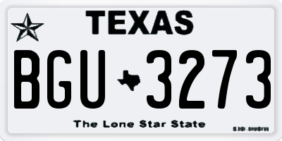 TX license plate BGU3273