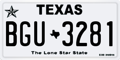 TX license plate BGU3281