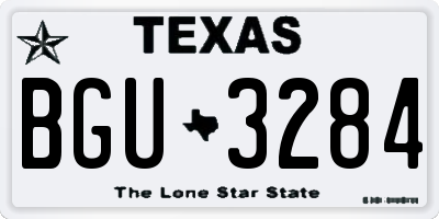 TX license plate BGU3284