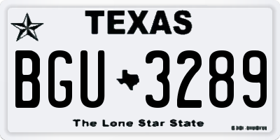 TX license plate BGU3289