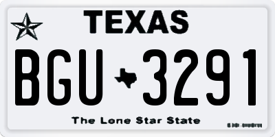 TX license plate BGU3291