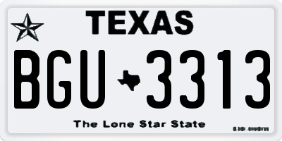TX license plate BGU3313