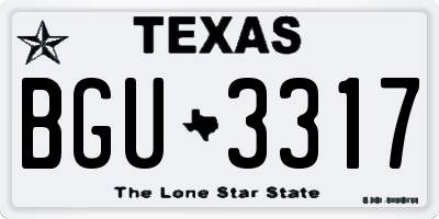 TX license plate BGU3317