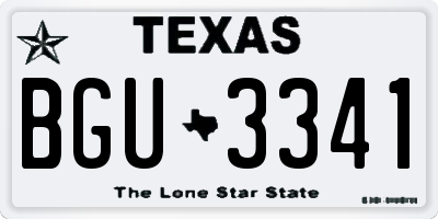TX license plate BGU3341