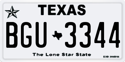 TX license plate BGU3344