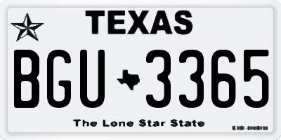 TX license plate BGU3365