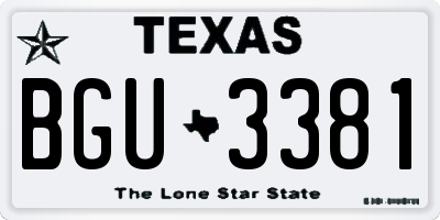 TX license plate BGU3381