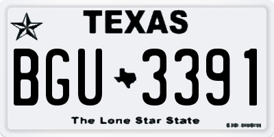 TX license plate BGU3391
