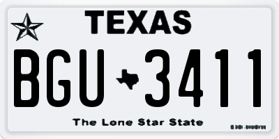 TX license plate BGU3411
