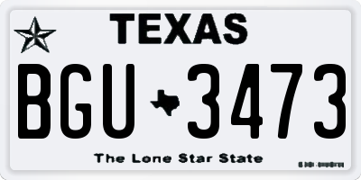 TX license plate BGU3473