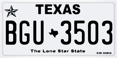 TX license plate BGU3503
