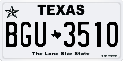 TX license plate BGU3510