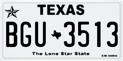 TX license plate BGU3513