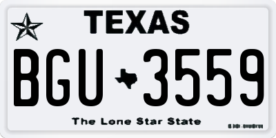 TX license plate BGU3559