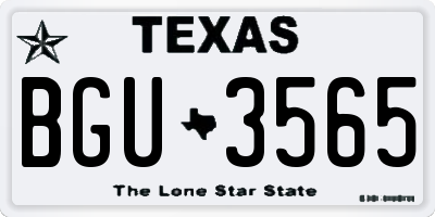 TX license plate BGU3565