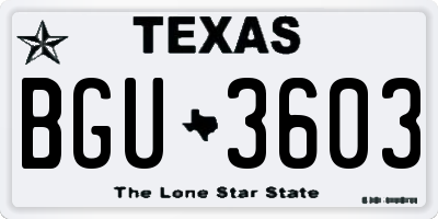 TX license plate BGU3603