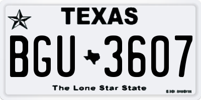TX license plate BGU3607