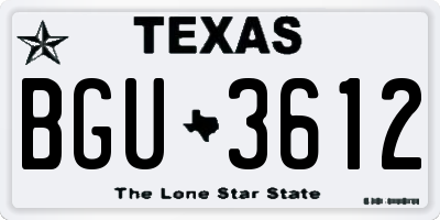 TX license plate BGU3612
