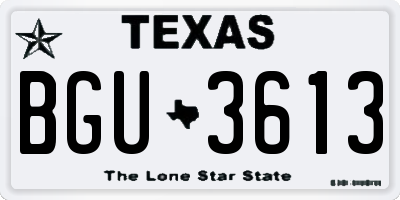 TX license plate BGU3613
